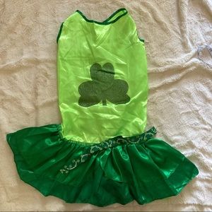 Green dog dress for St Patrick’s Day 🐶🍀
